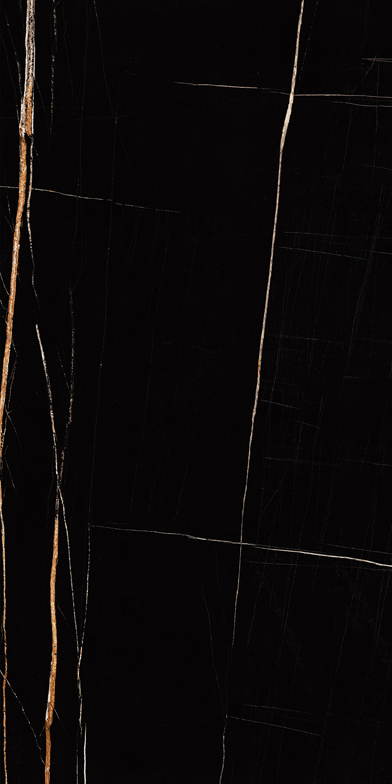 Sahara Noir 15 Slab 6mm R 2