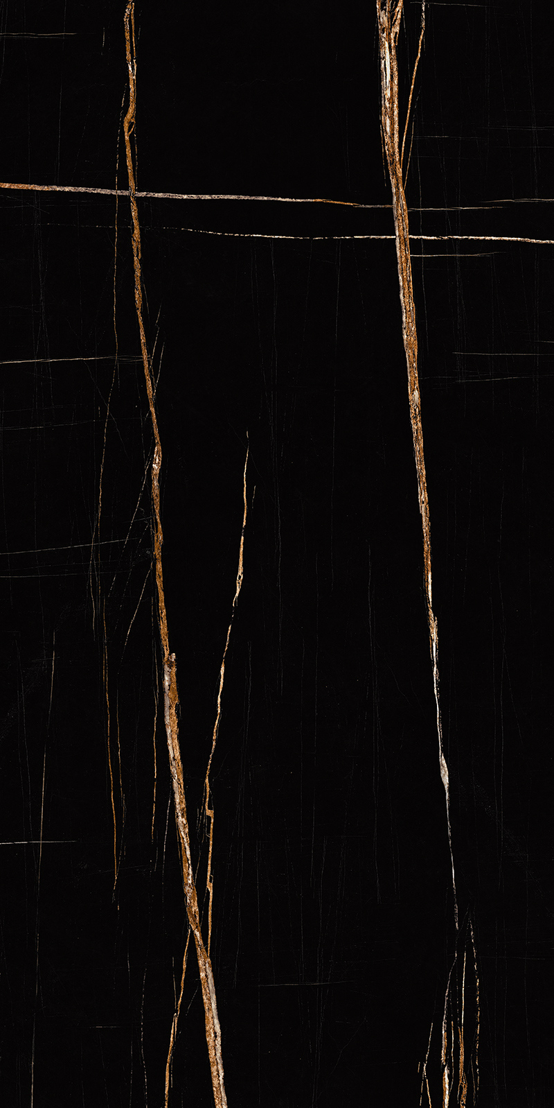 Sahara Noir 15 Slab 6mm R 3