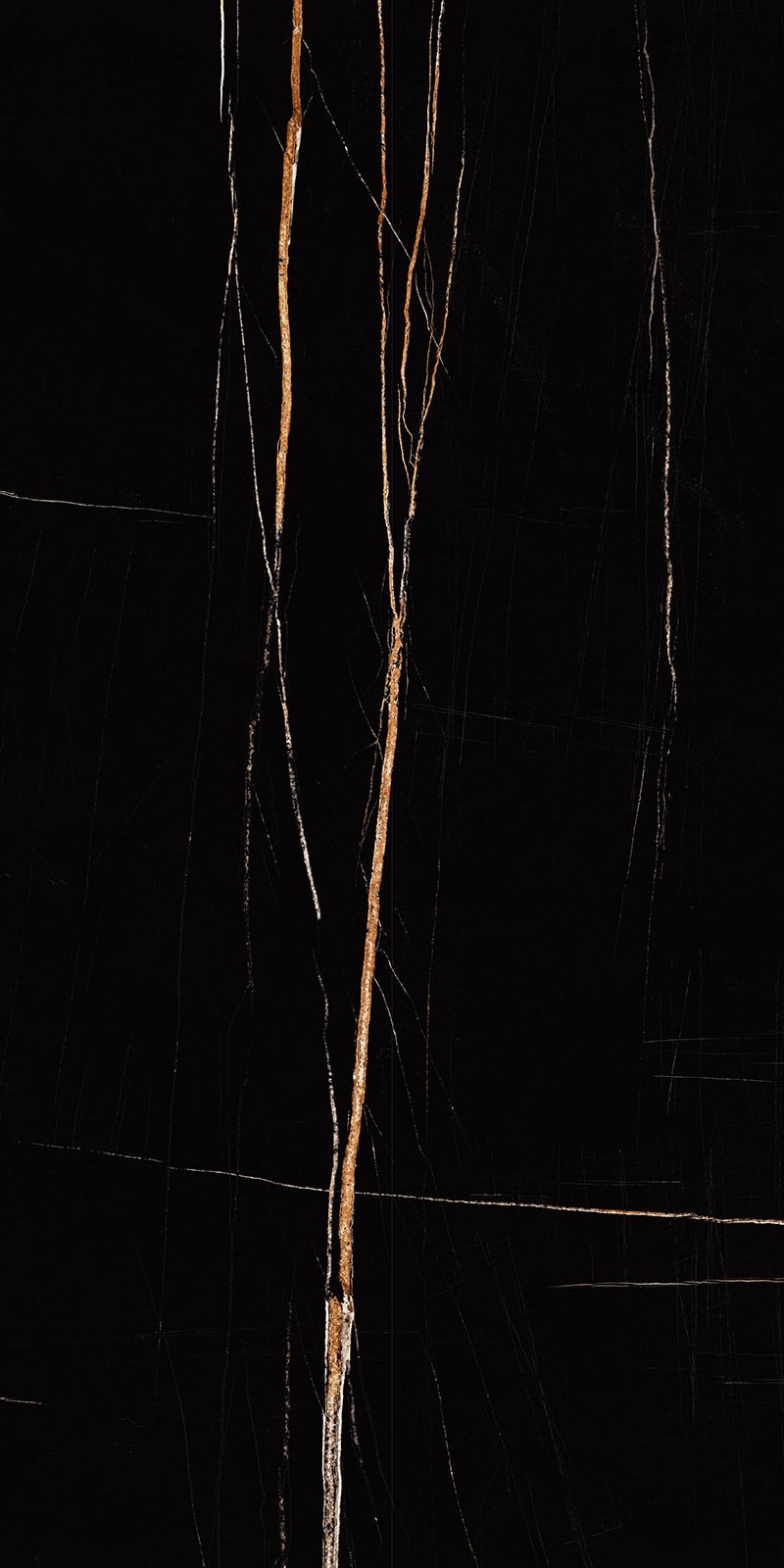 Sahara Noir 15 Slab 6mm R 4