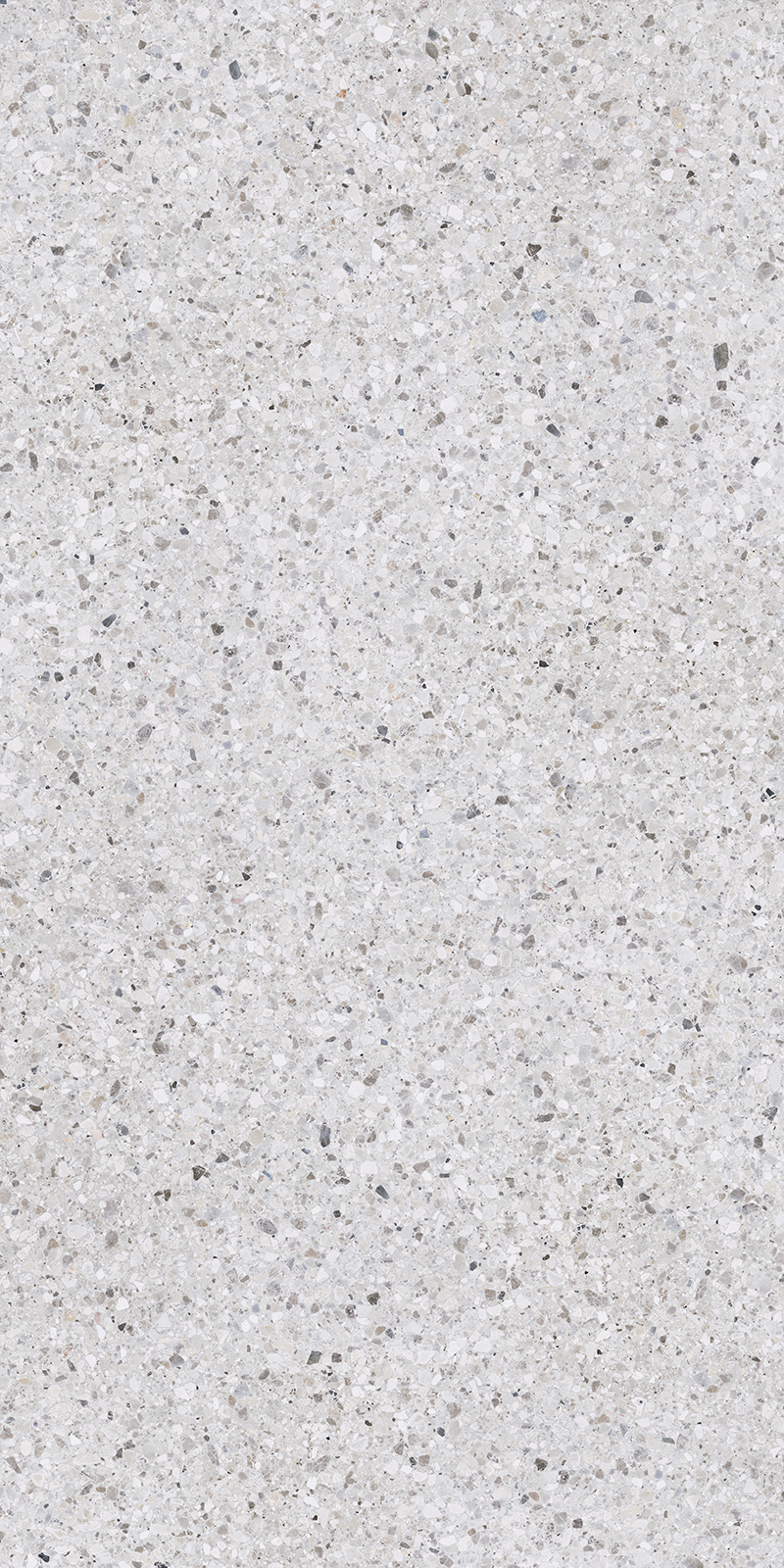 Terrazzo Delicato 40 Slab 12mm R 1