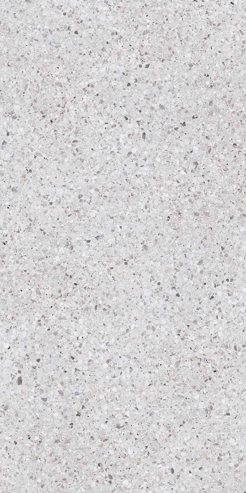 Terrazzo Delicato 40 Slab 12mm R 2