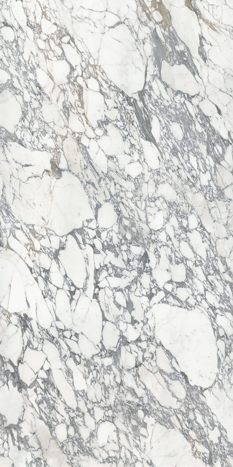 Arabescato Corchia 59 Slab 12mm B 2