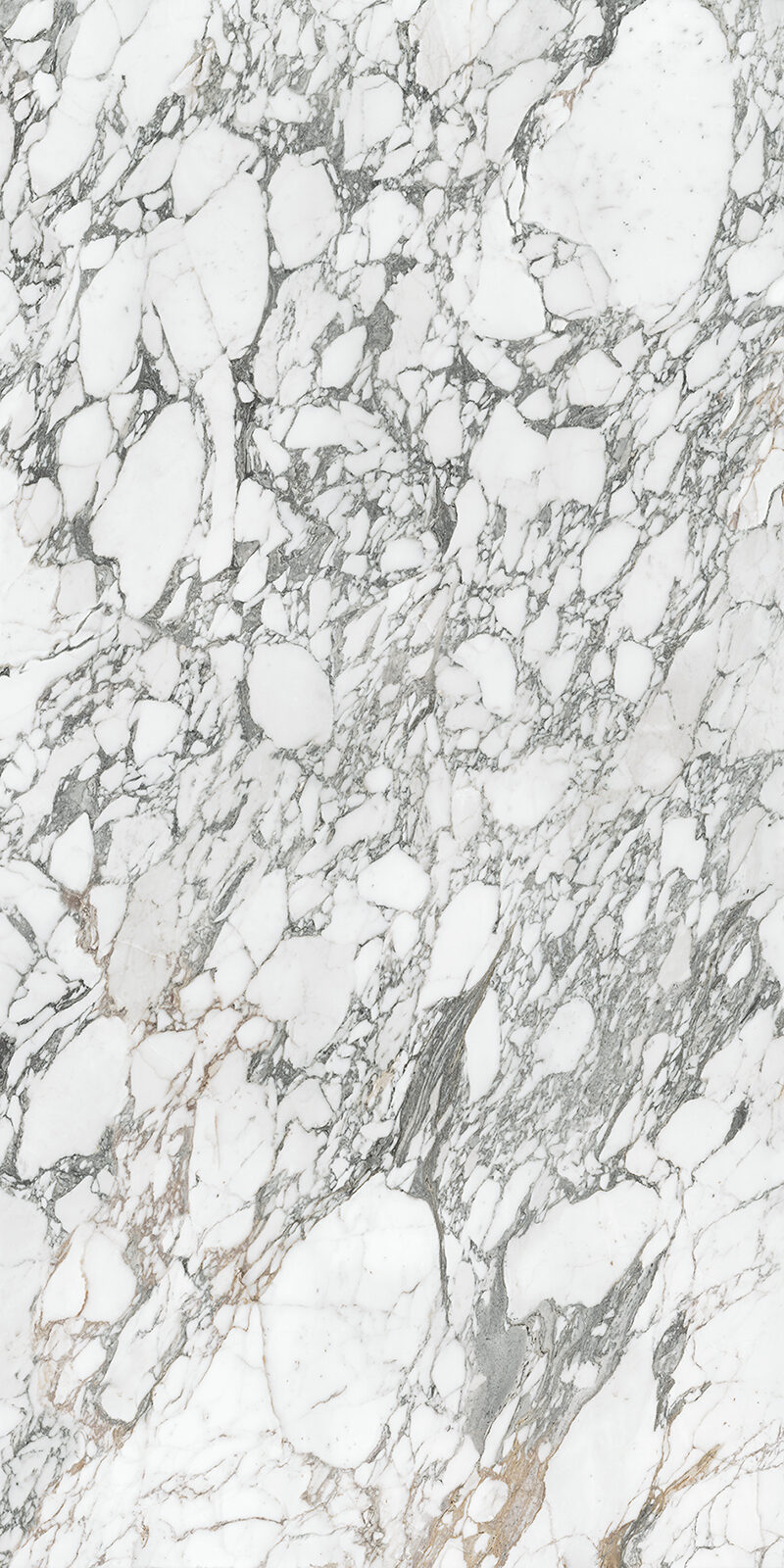 Arabescato Corchia 59 Slab 6mm R 1