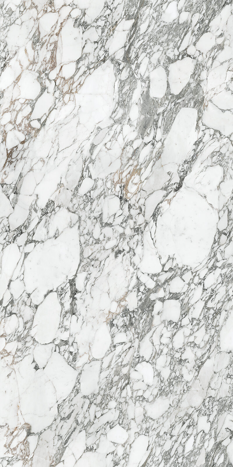 Arabescato Corchia 59 Slab 6mm R 2