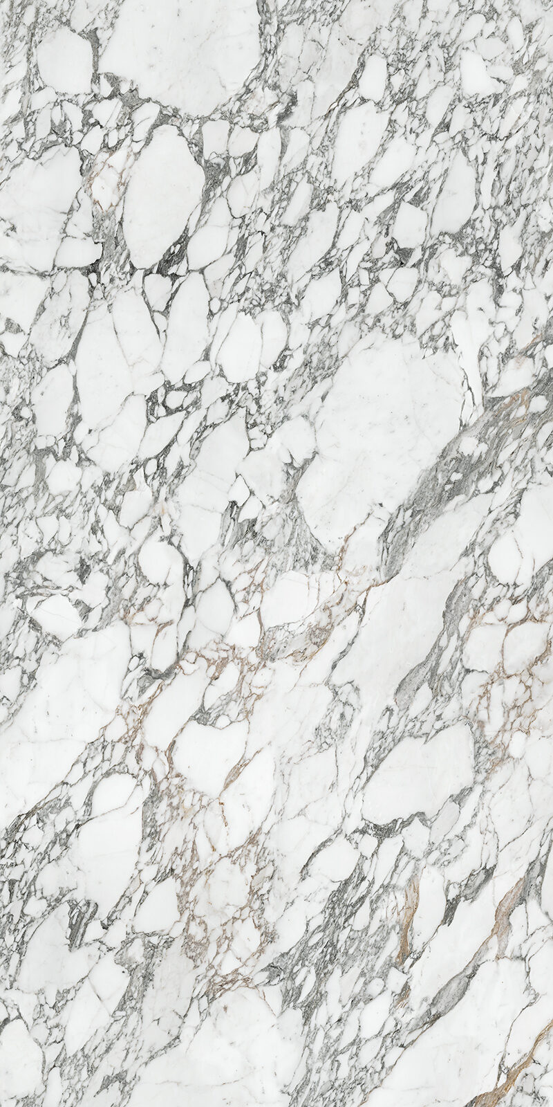 Arabescato Corchia 59 Slab 6mm R 3