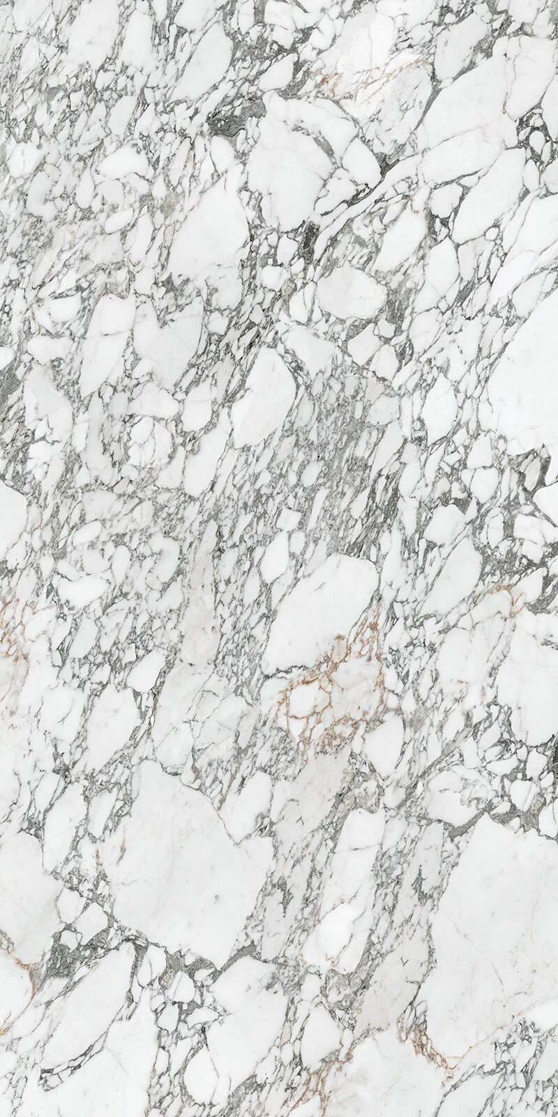 Arabescato Corchia 59 Slab 6mm R 4