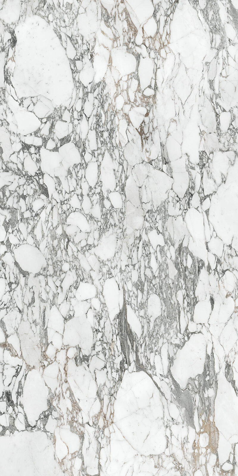 Arabescato Corchia 59 Slab 6mm R 5