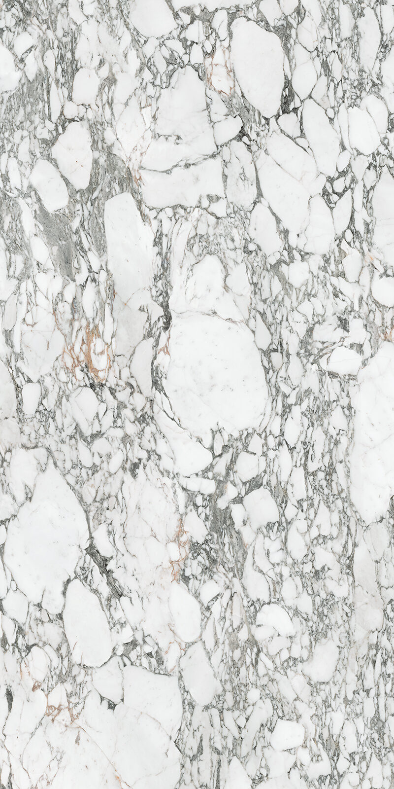 Arabescato Corchia 59 Slab 6mm R 6