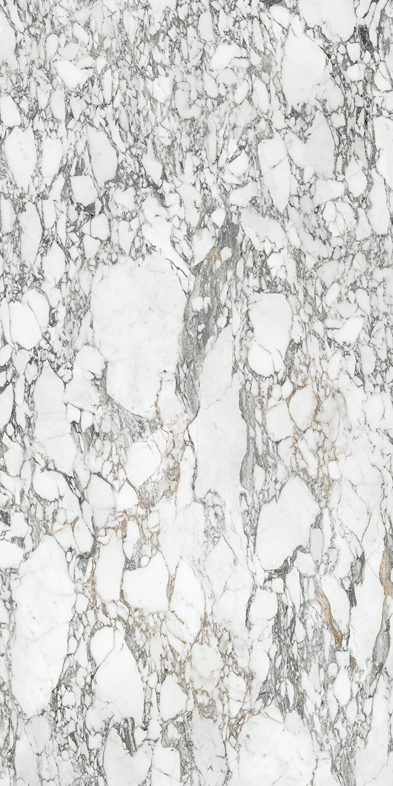 Arabescato Corchia 59 Slab 6mm R 7