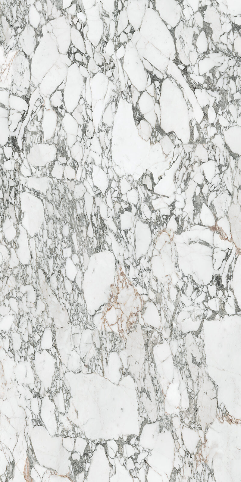 Arabescato Corchia 59 Slab 6mm R 8