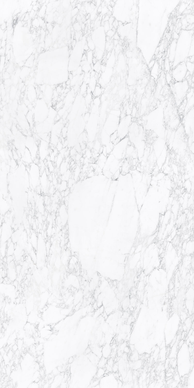 Arabescato Vagli 34 Slab 6 12mm B 02