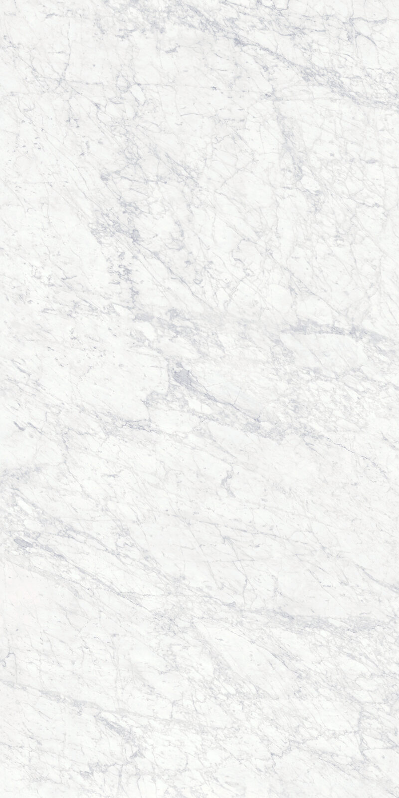 Bianco Gioia 19 Slab 6mm R 1