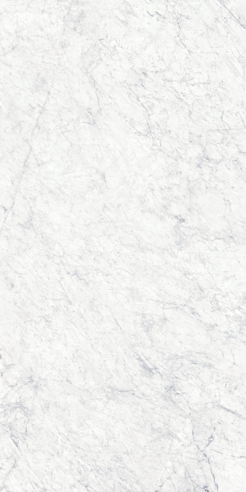 Bianco Gioia 19 Slab 6mm R 2
