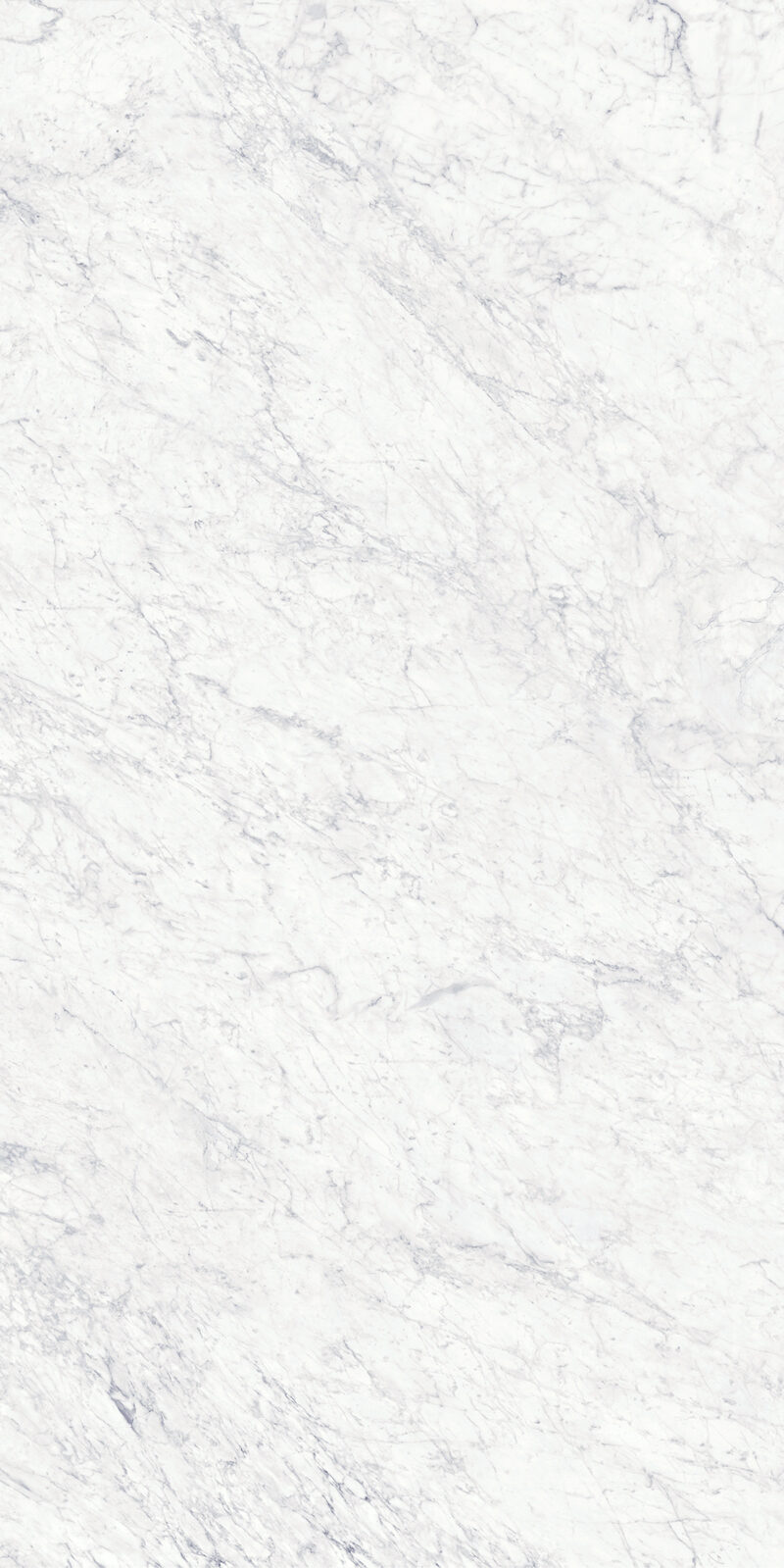 Bianco Gioia 19 Slab 6mm R 4