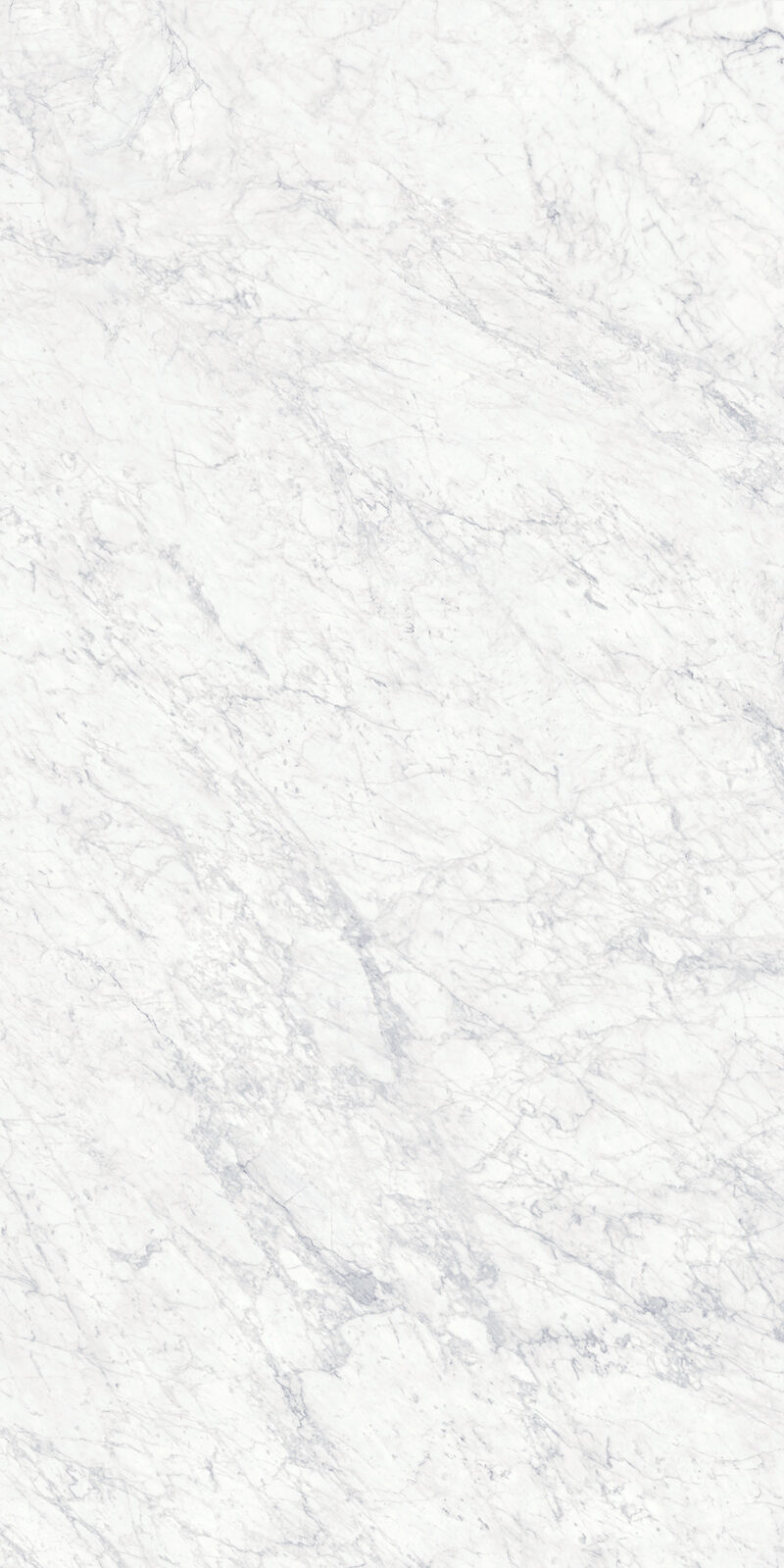 Bianco Gioia 19 Slab 6mm R 8