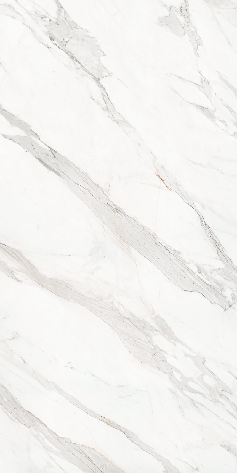 Calacatta Borghini 48 Slab 6mm R 2