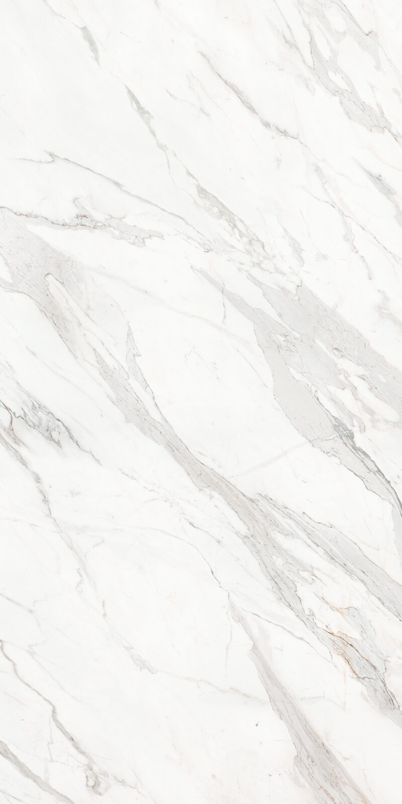 Calacatta Borghini 48 Slab 6mm R 3