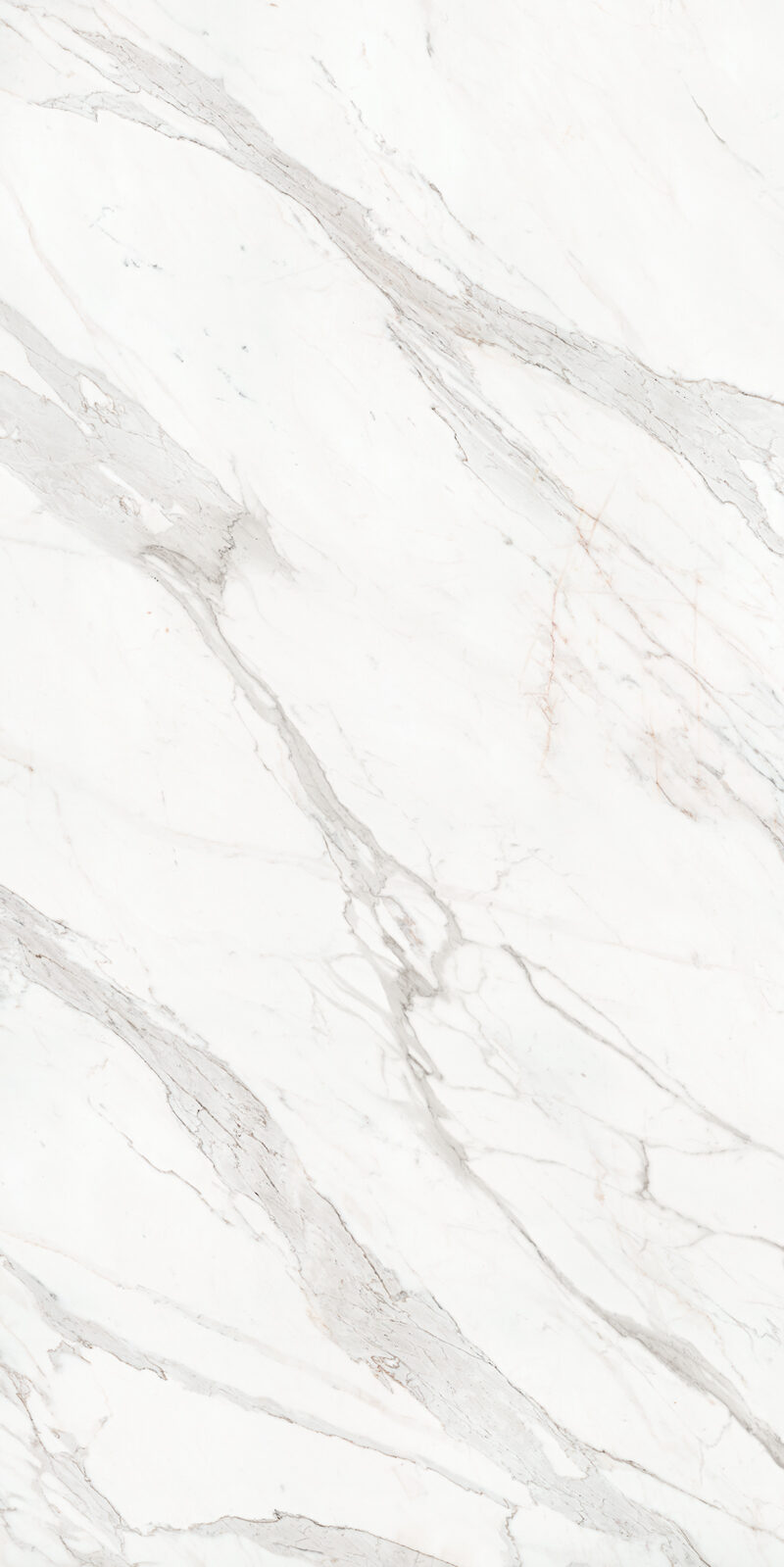 Calacatta Borghini 48 Slab 6mm R 5