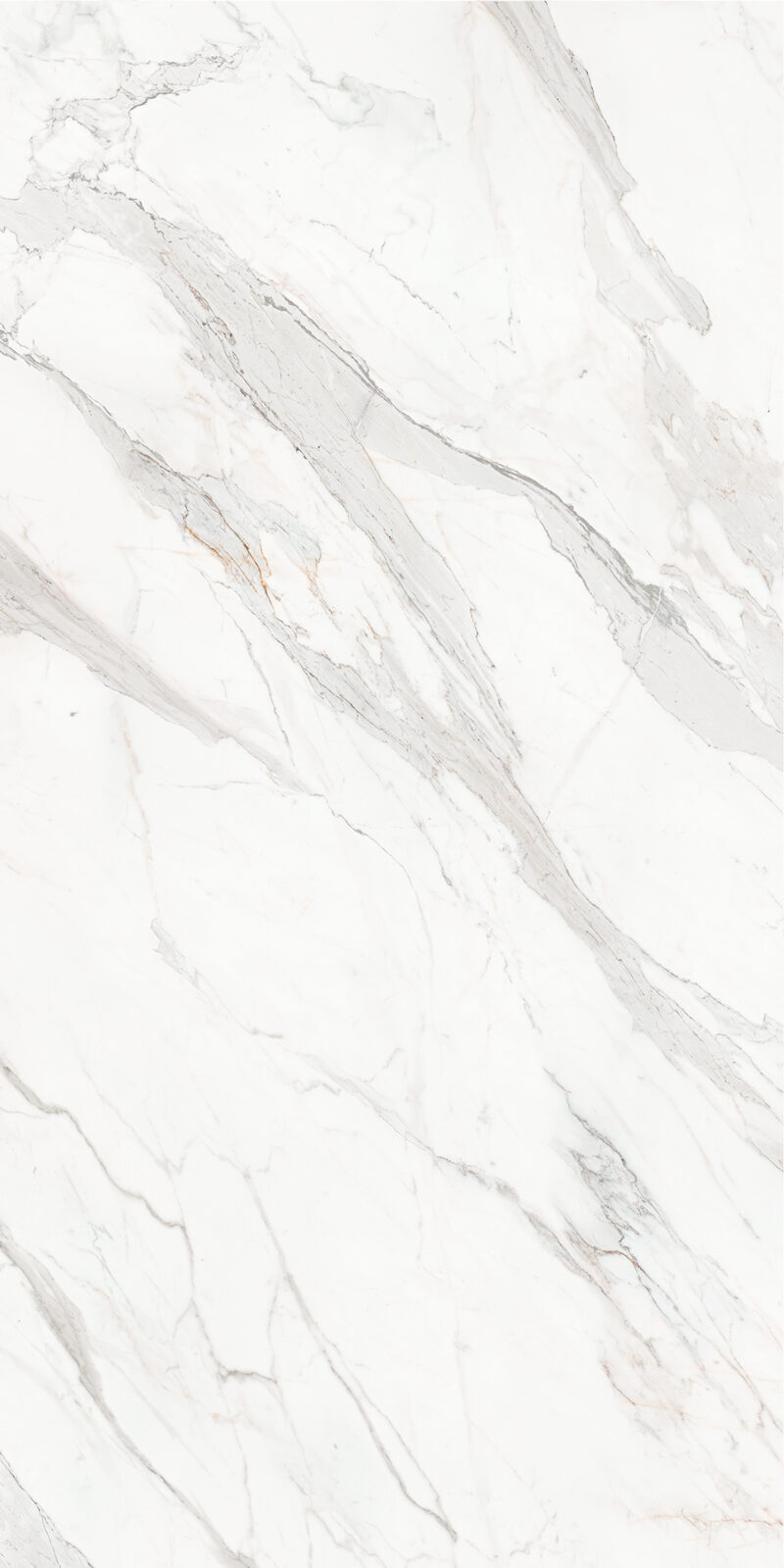 Calacatta Borghini 48 Slab 6mm R 6