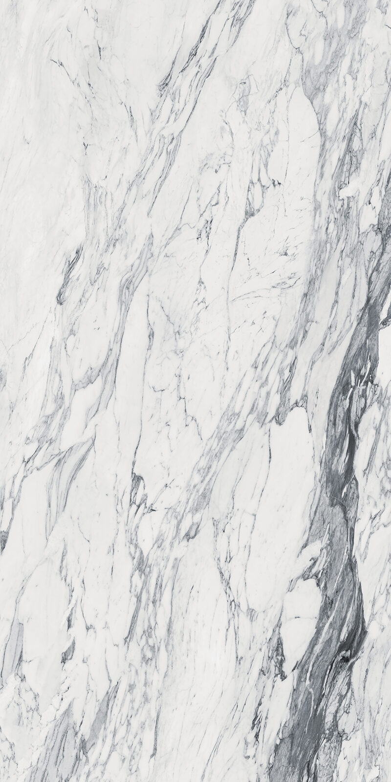 Calacatta Corchia 43 Slab 6mm R 5