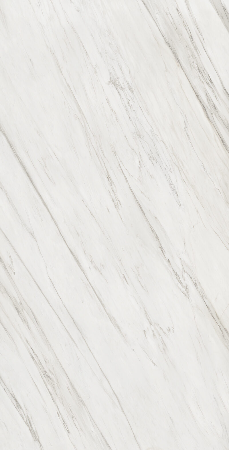 Calacatta Cremo 31 Slab 12mm B 2