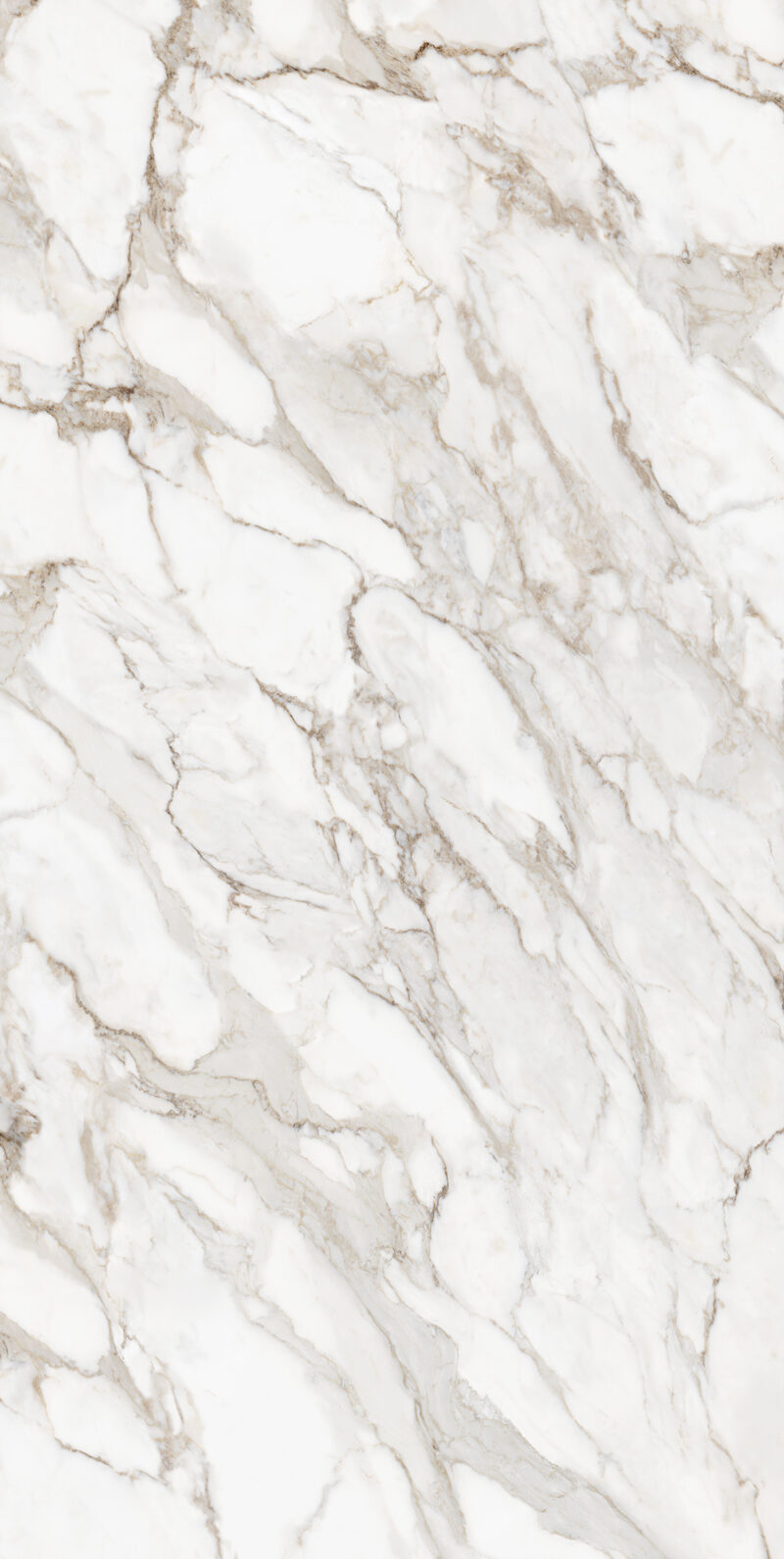 Calacatta Oro 12 Slab 12mm B 2