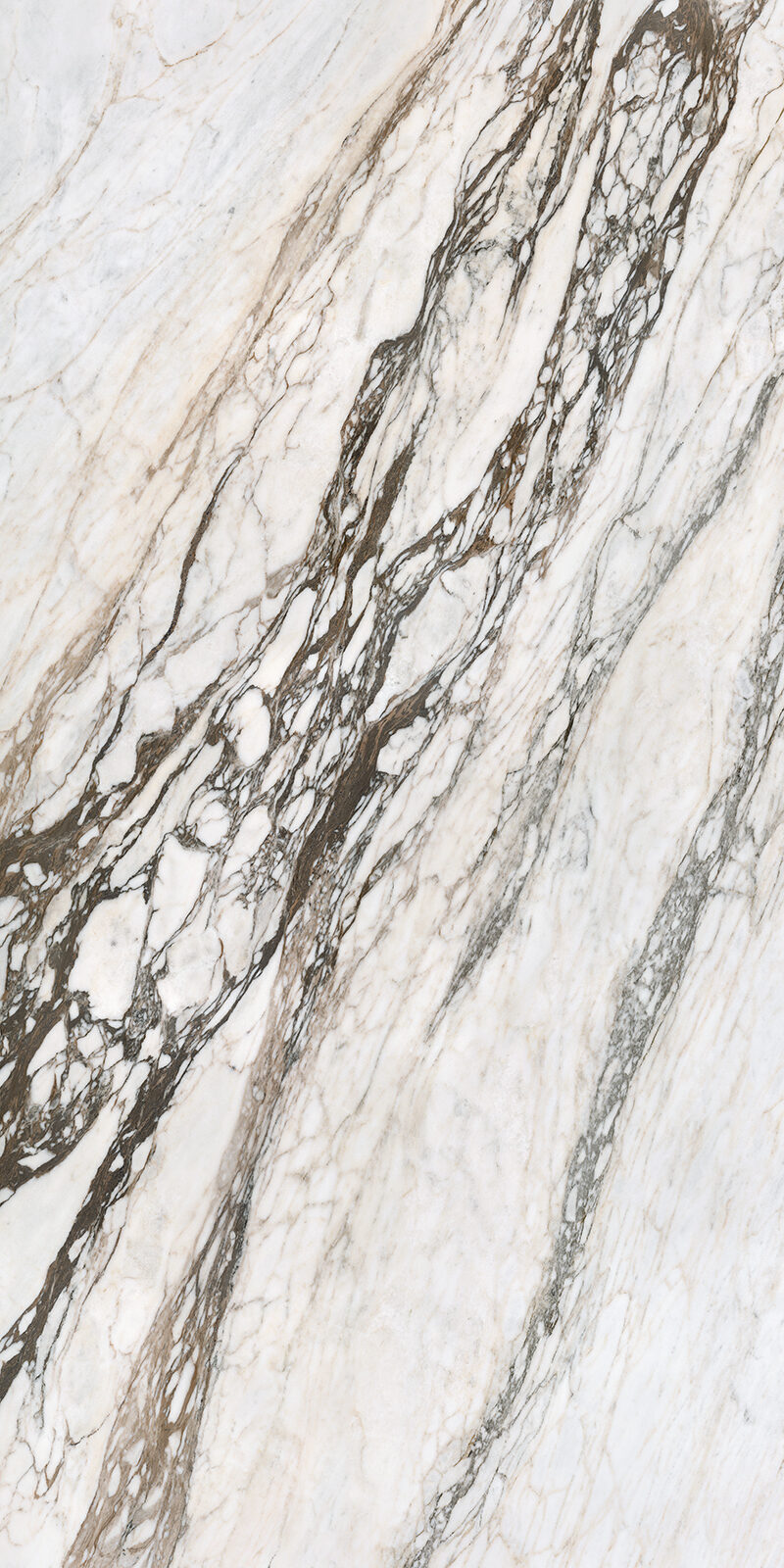 Calacatta Picasso 32 Slab 6 12mm B 1