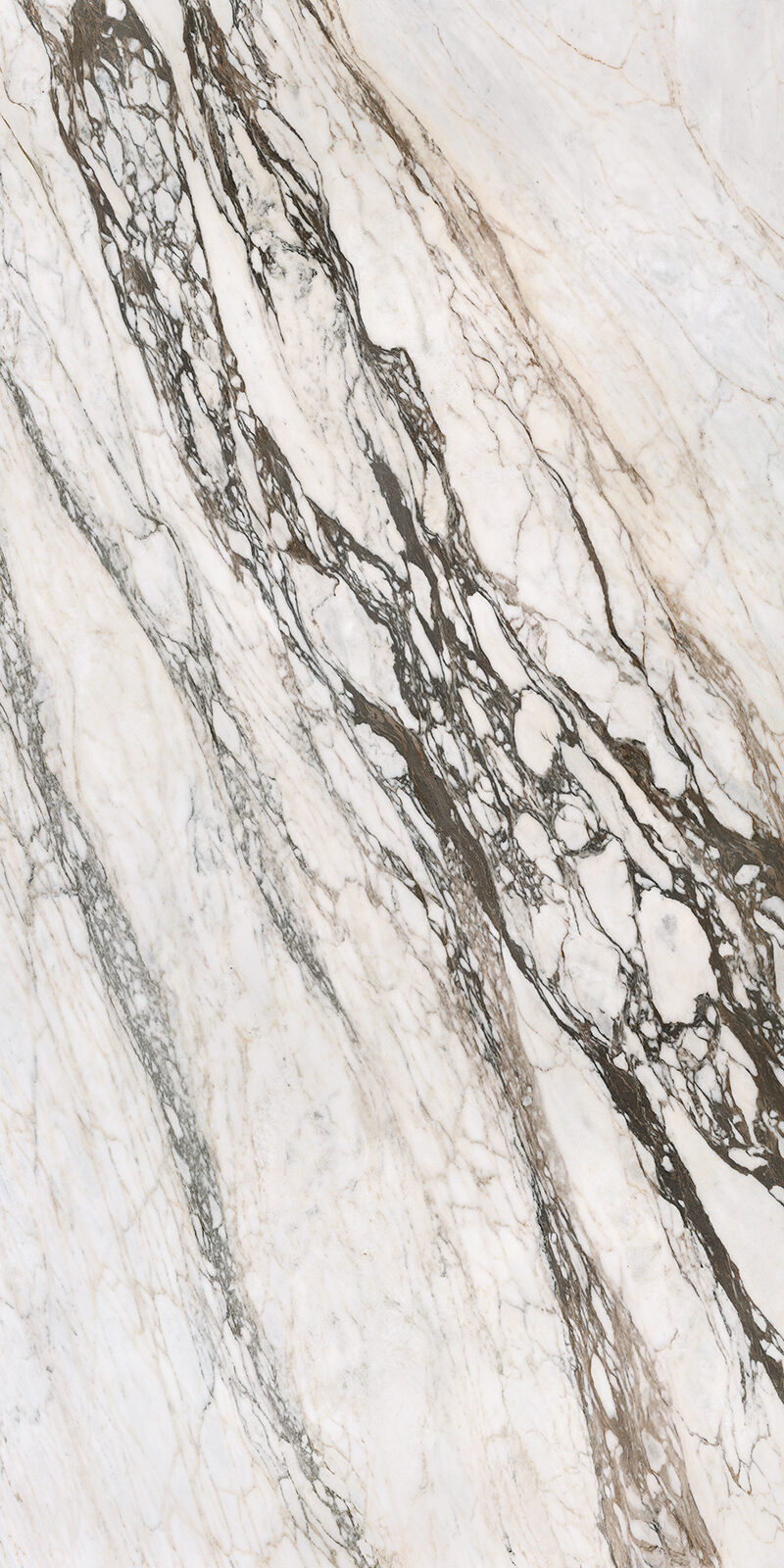 Calacatta Picasso 32 Slab 6 12mm B 2