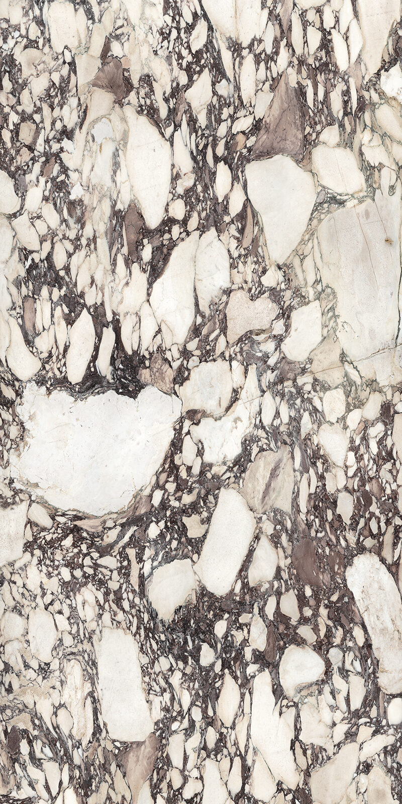 Calacatta Viola 41 Slab 6 12mm B 2