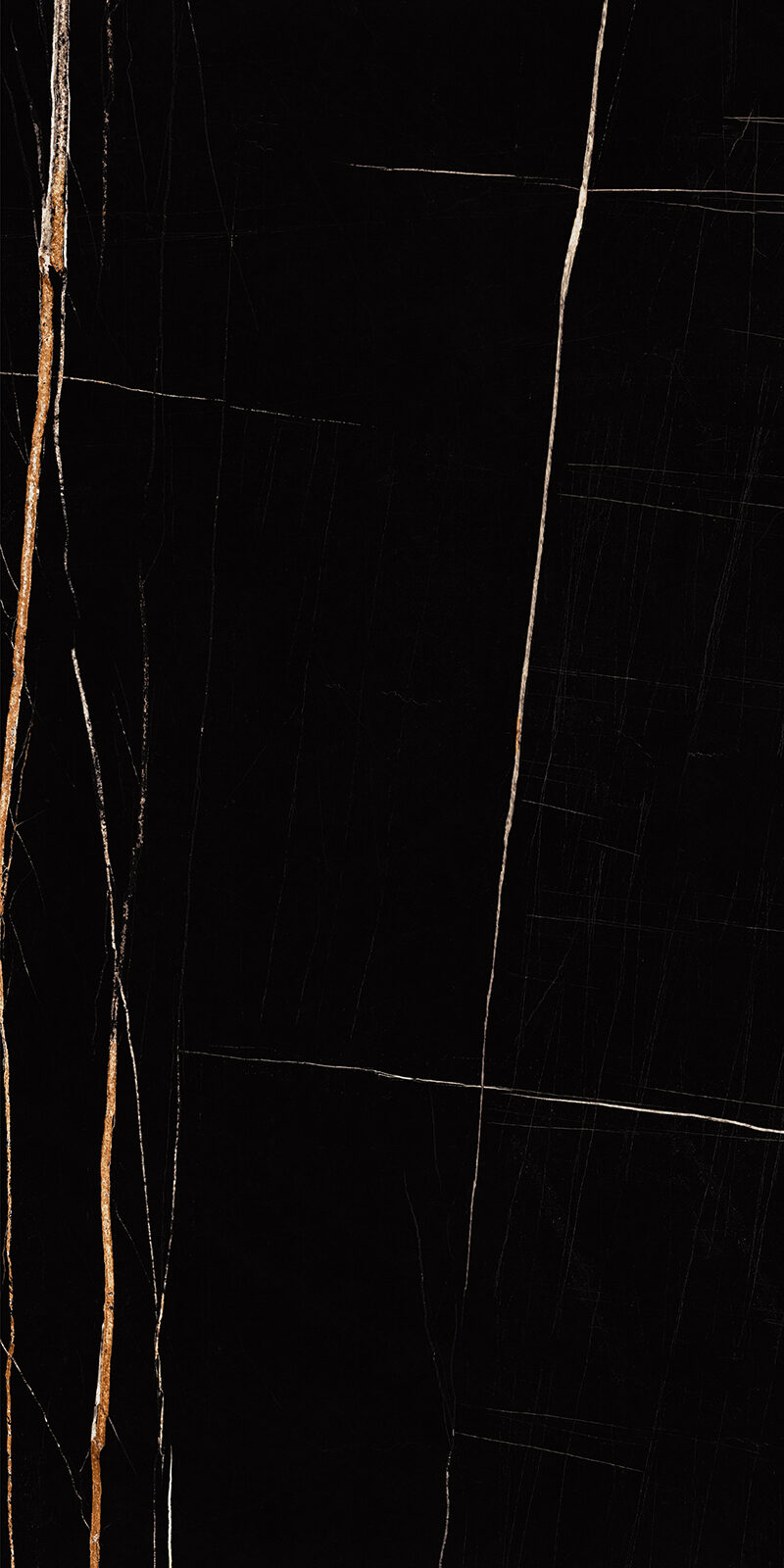 Sahara Noir 15 Slab 6mm R 2