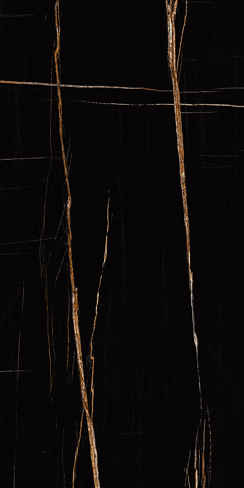 Sahara Noir 15 Slab 6mm R 3