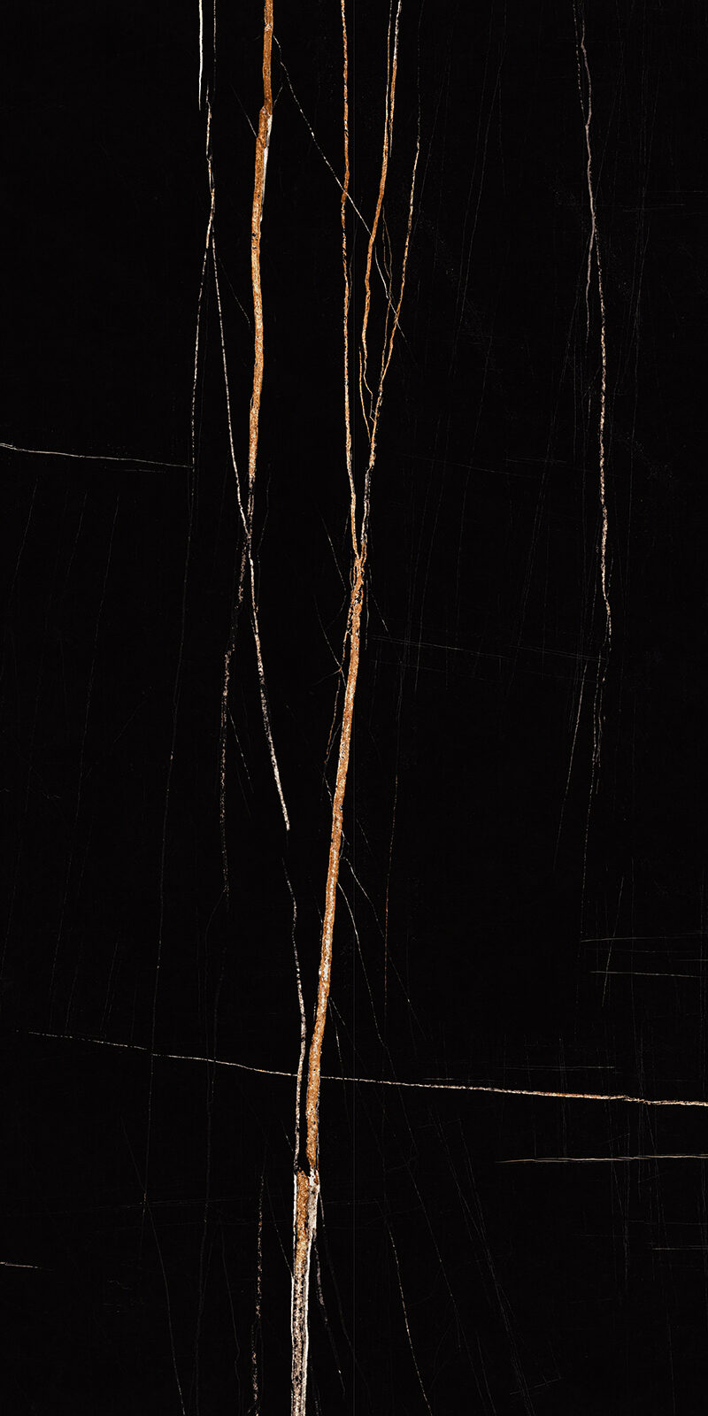 Sahara Noir 15 Slab 6mm R 4