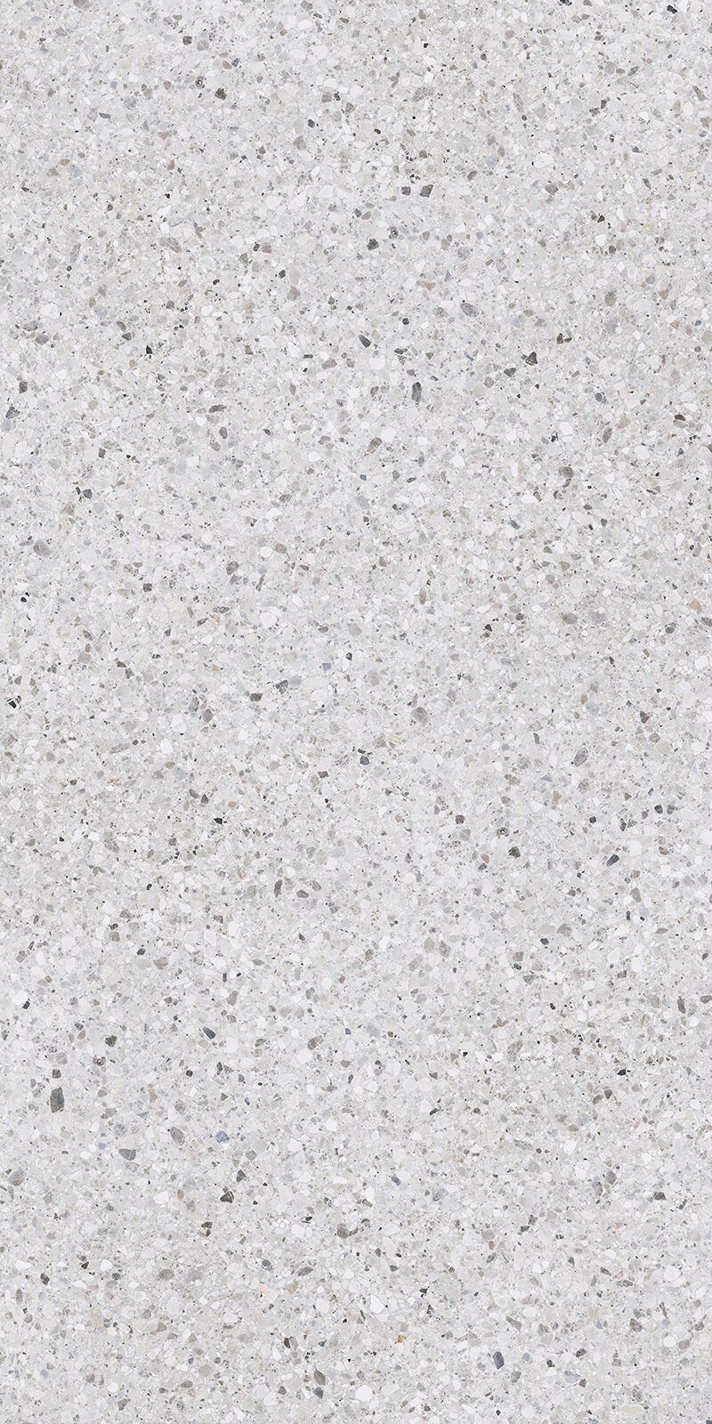 Terrazzo Delicato 40 Slab 12mm R 2