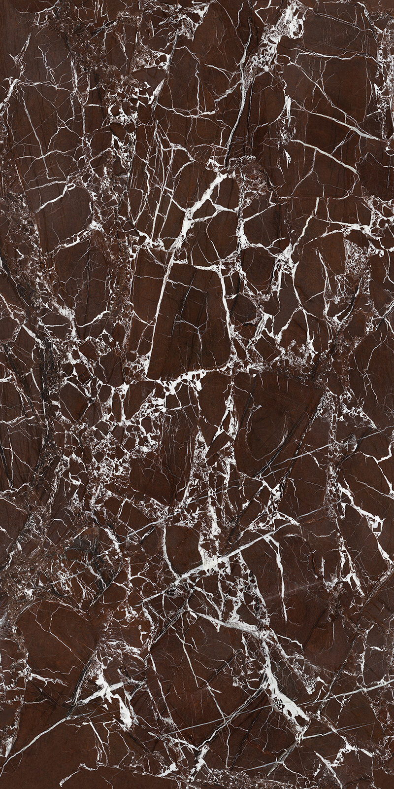 Tuscano Burgundy 58 Slab 6 12mm B 2