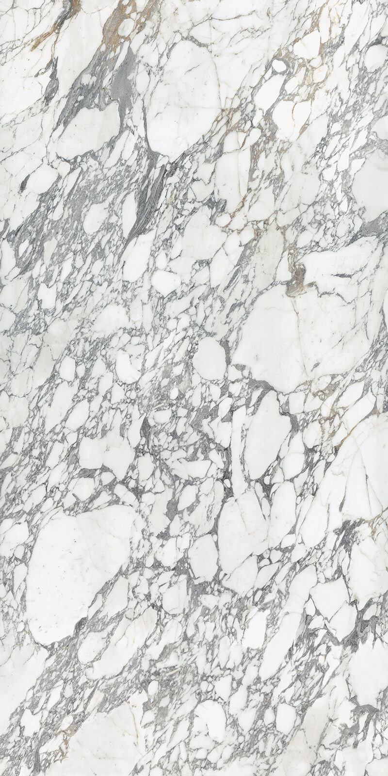 Arabescato Corchia 59 Slab 12mm B 1