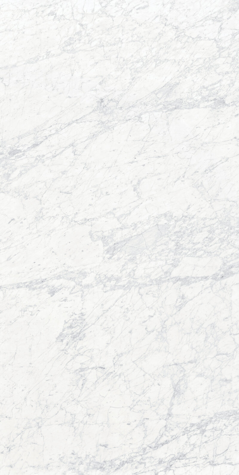 Bianco Gioia 19 Slab 12mm B 1