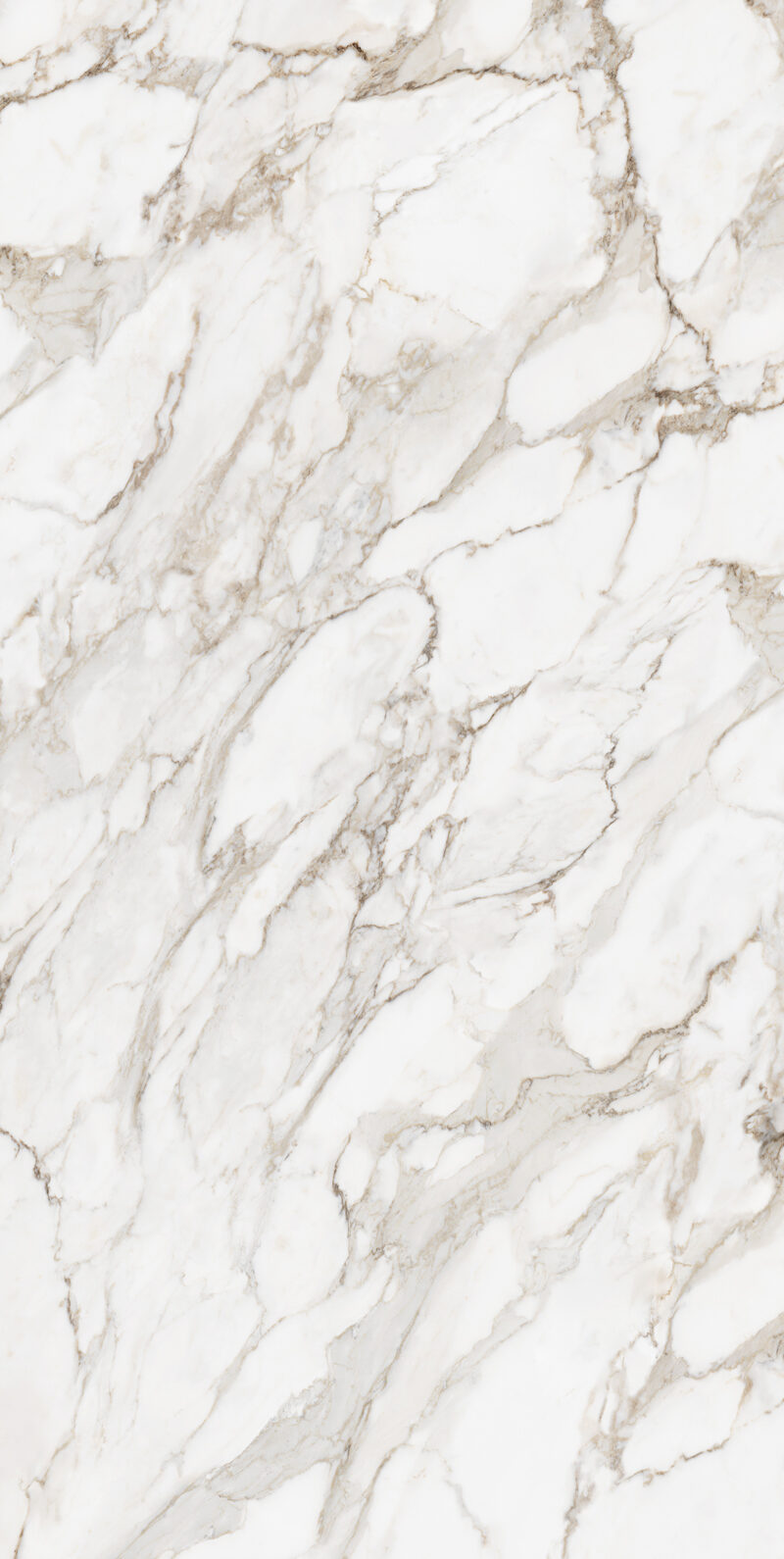 Calacatta Oro 12 Slab 12mm B 1