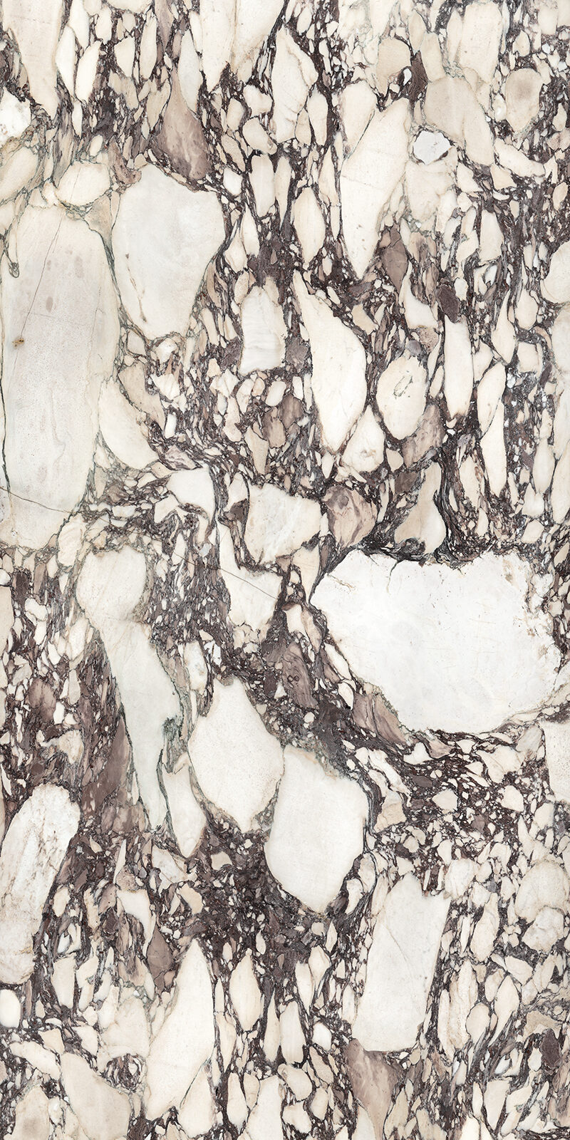 Calacatta Viola 41 Slab 6 12mm B 1