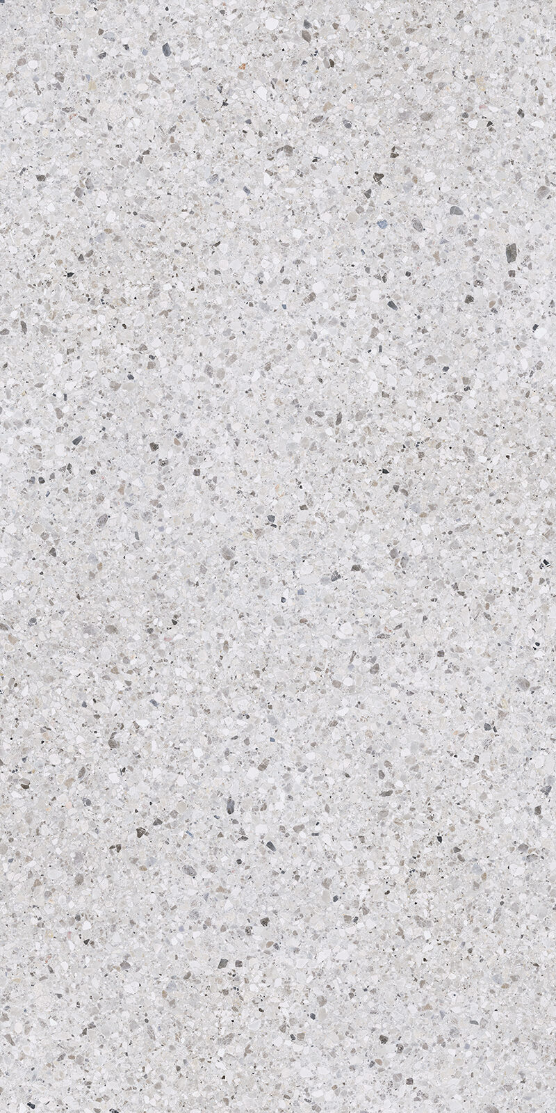 Terrazzo Delicato 40 Slab 12mm R 1