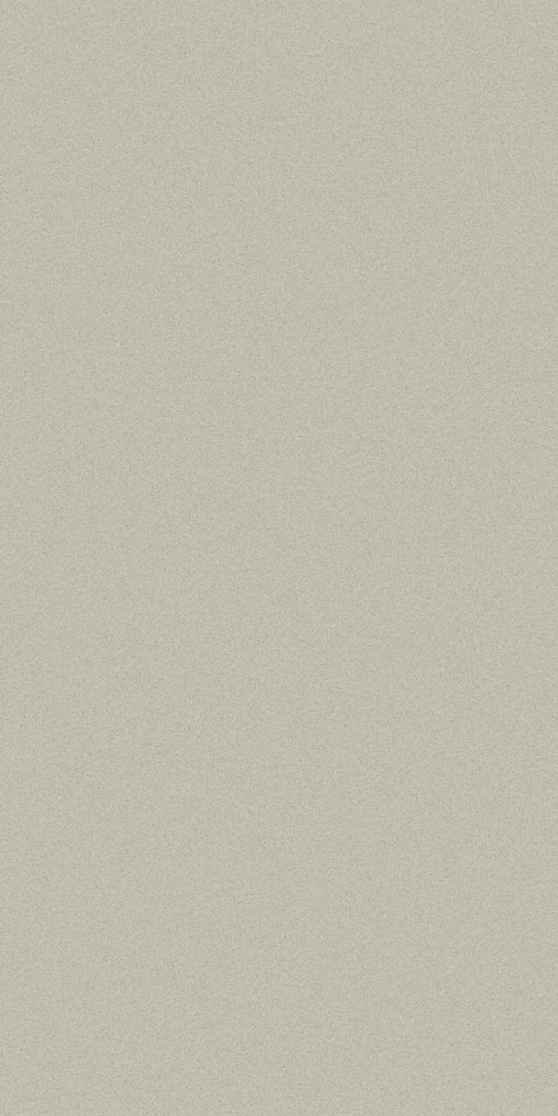 Body Color Light Grey