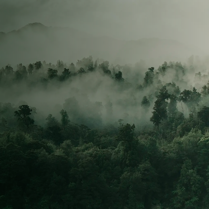 Hero Section Sustainability