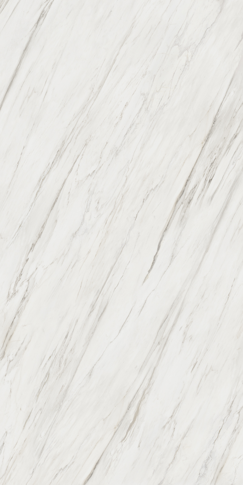 Calacatta Cremo 12 Slab 6mm R 1