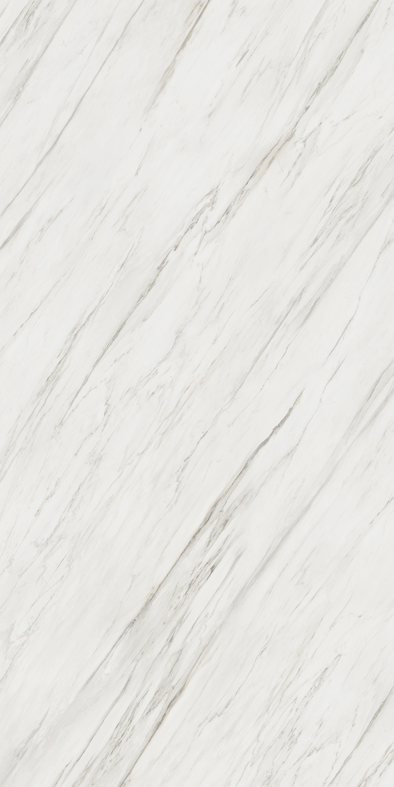 Calacatta Cremo 12 Slab 6mm R 6