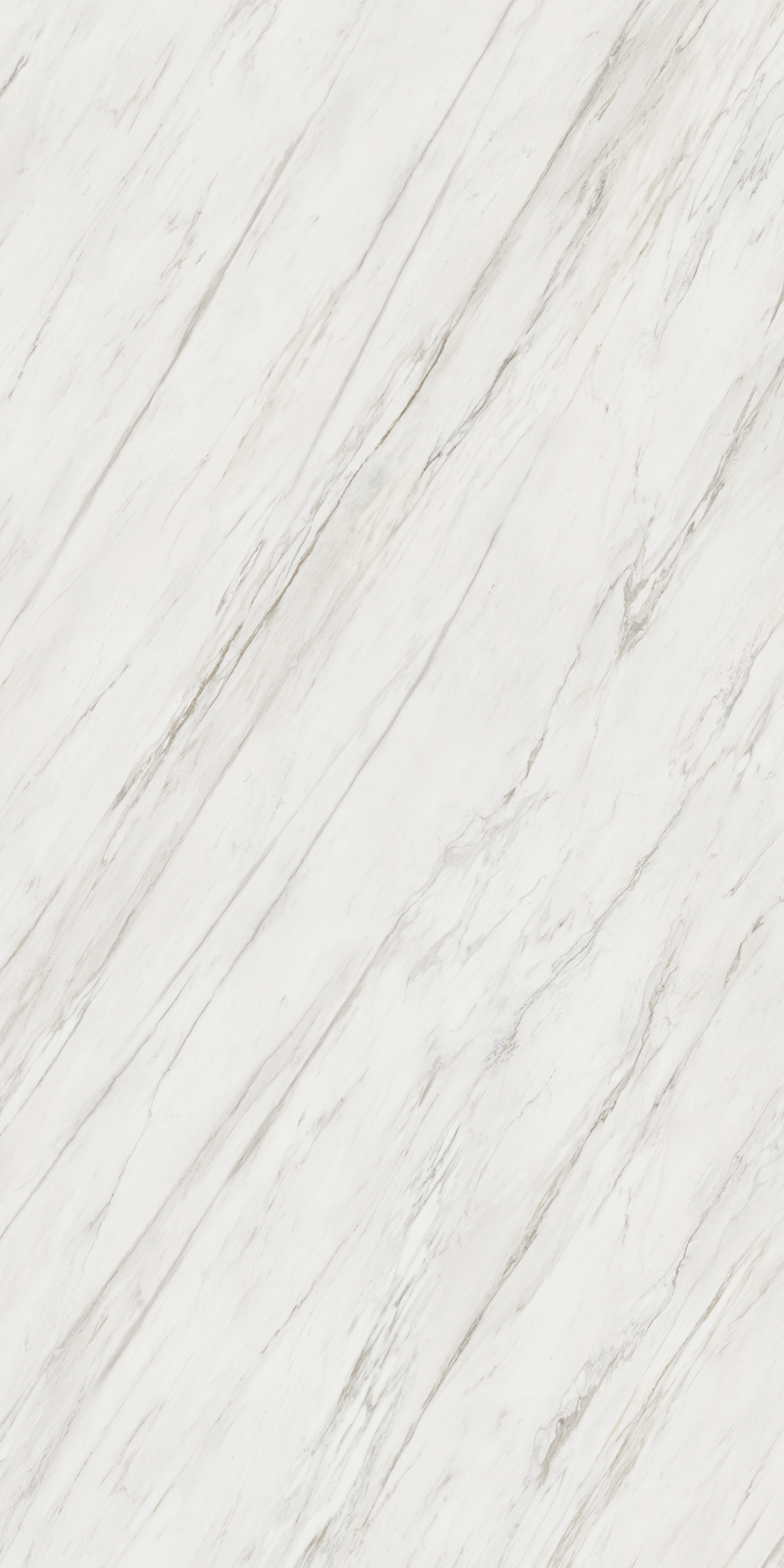 Calacatta Cremo 12 Slab 6mm R 7