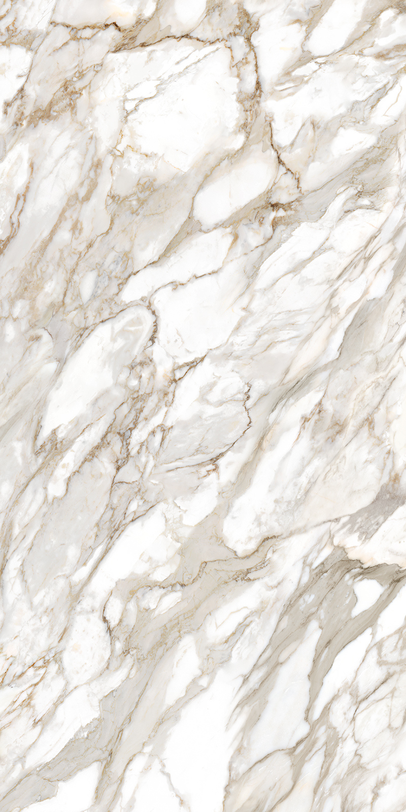 Calacatta Oro 12 Slab 6mm R 1