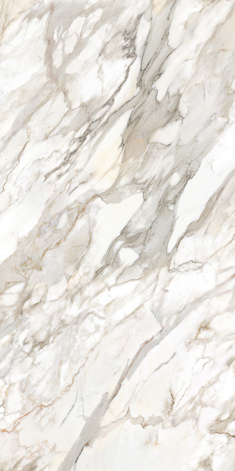 Calacatta Oro 12 Slab 6mm R 2