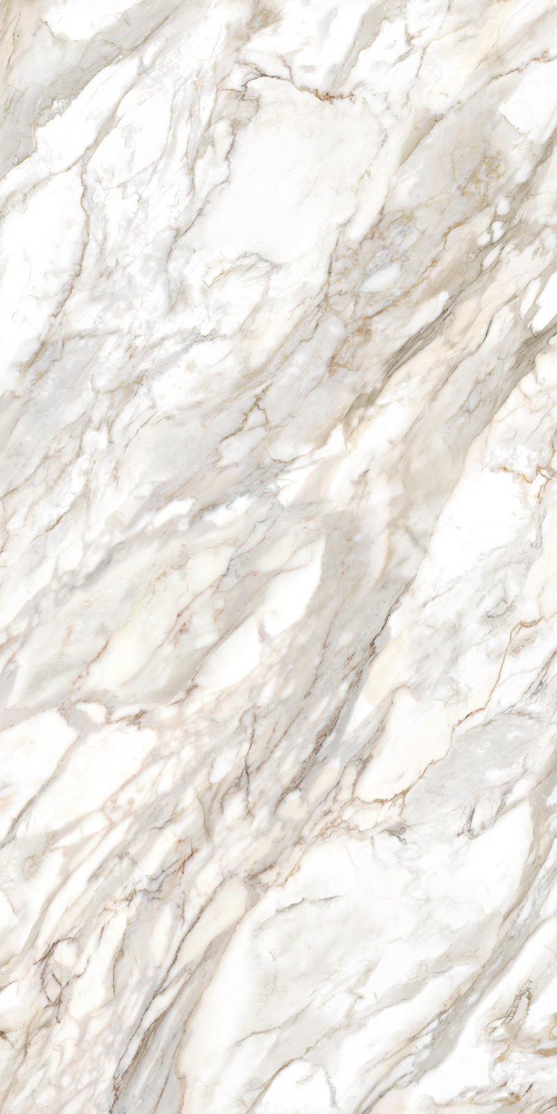 Calacatta Oro 12 Slab 6mm R 3