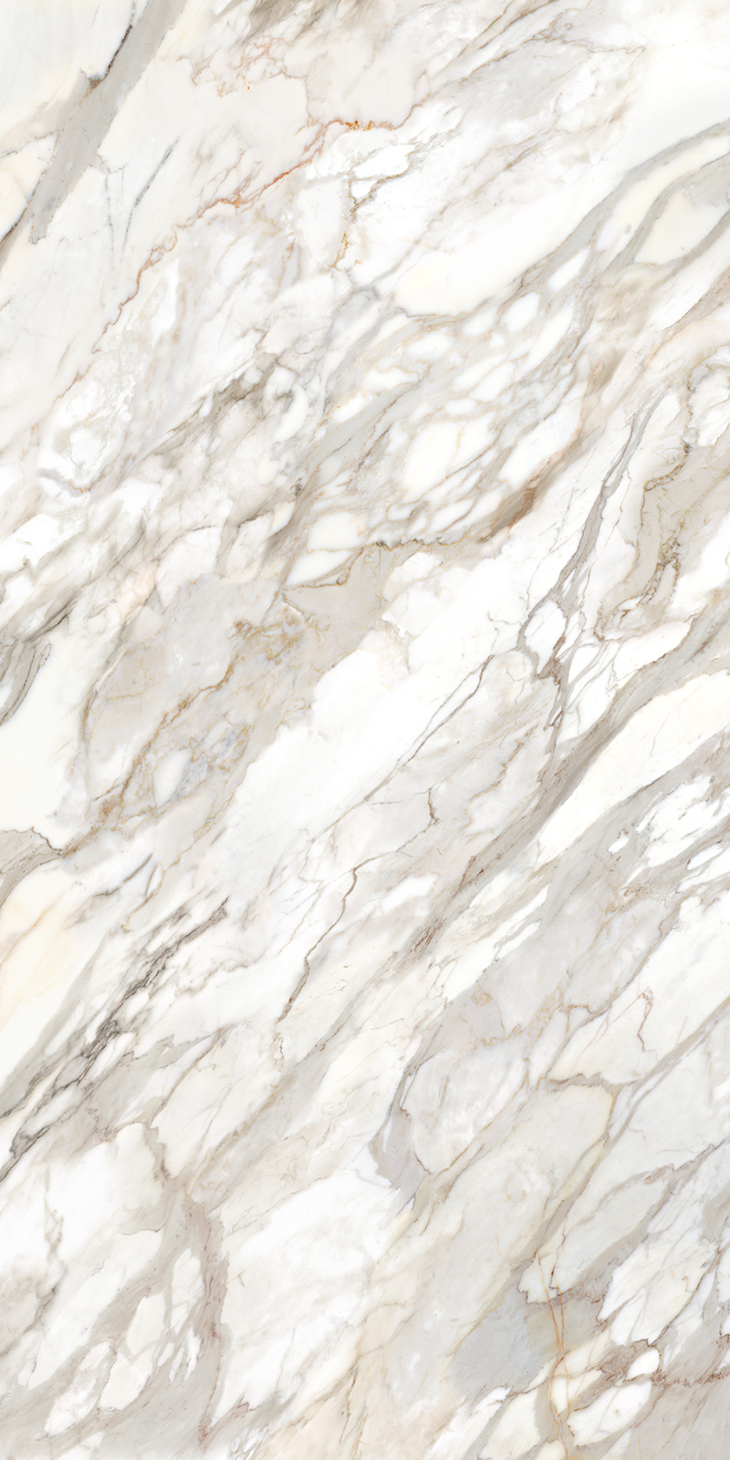 Calacatta Oro 12 Slab 6mm R 5