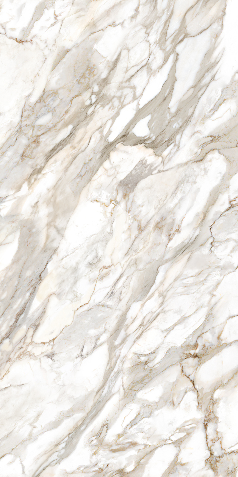 Calacatta Oro 12 Slab 6mm R 6