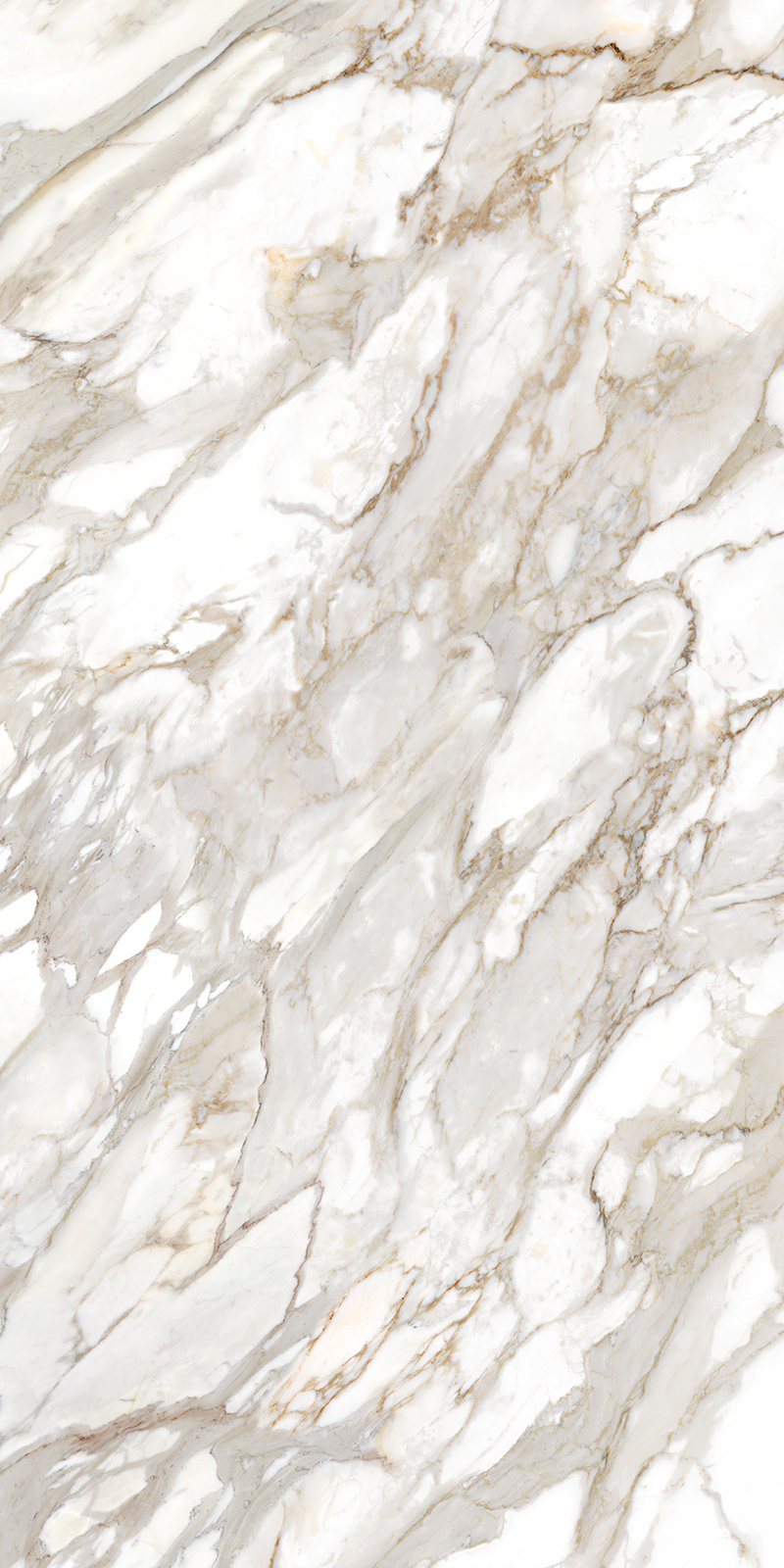 Calacatta Oro 12 Slab 6mm R 7